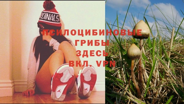 первитин Володарск