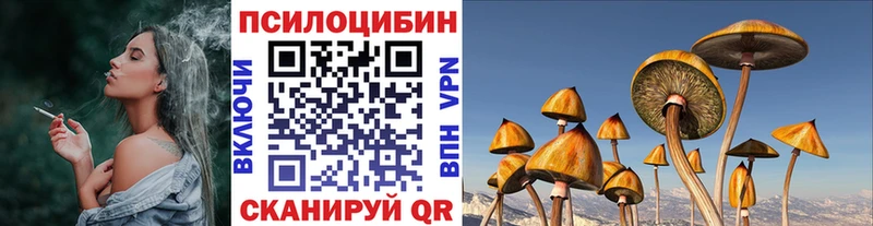 Купить  Уфа  Псилоцибиновые грибы мицелий 